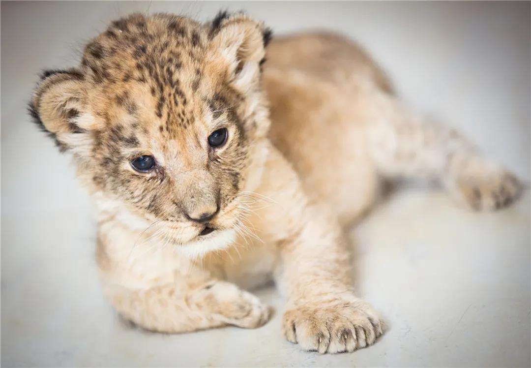 微信圖片_20210113153330.jpg 微信圖片_20210113153330.jpg