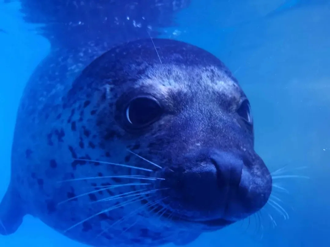 微信圖片_20210113172736.png 微信圖片_20210113172736.png