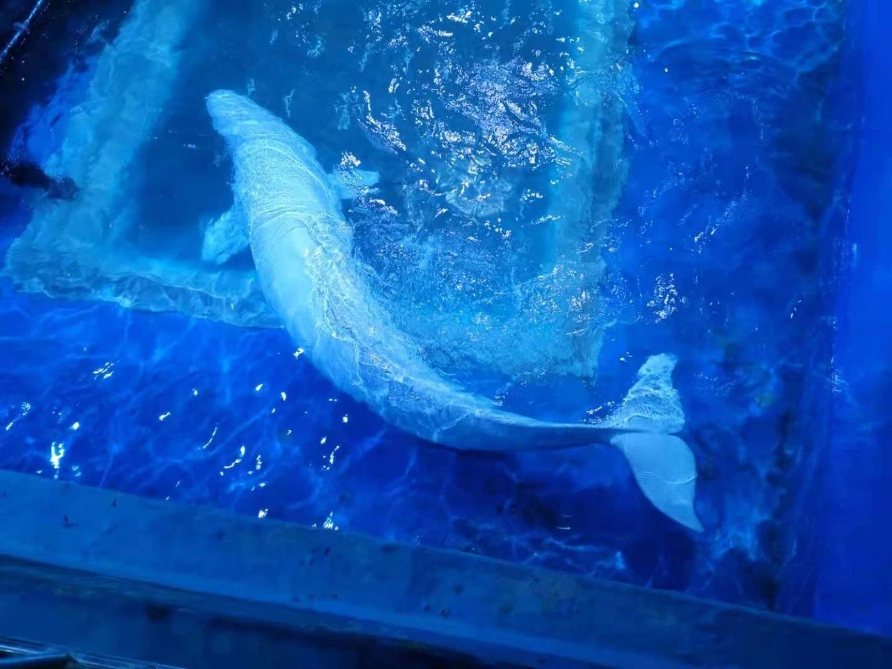 微信圖片_2021051408504414.jpg 微信圖片_2021051408504414.jpg